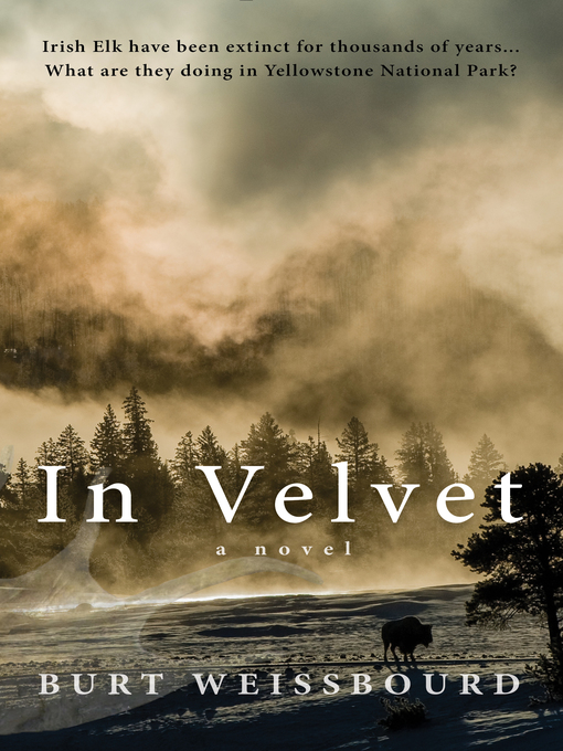 Title details for In Velvet by Burt Weissbourd - Available